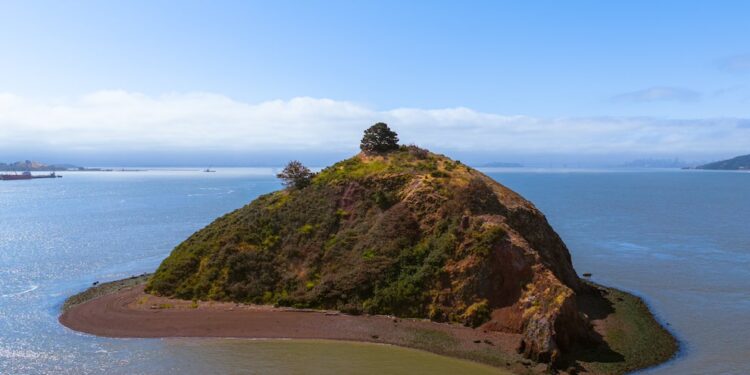 No water or electricity: a private island in San Francisco for sale for $25 million
