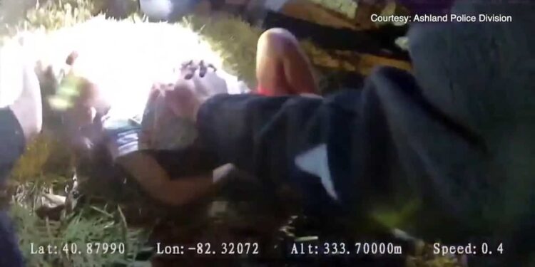 A police officer resuscitates and saves a 3-year-old girl after an accident