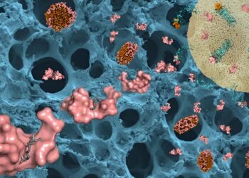 One step closer to treating serious bacterial infections and sepsis