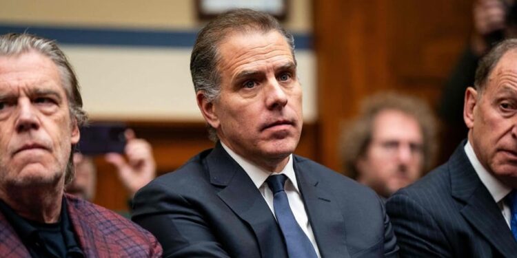 Parliamentary hearing turns into free-for-all after Hunter Biden’s surprise appearance