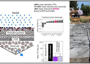 Permeable pavements could reduce tire pollutants that kill salmon