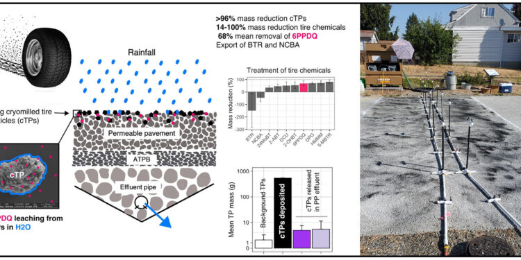 Permeable pavements could reduce tire pollutants that kill salmon