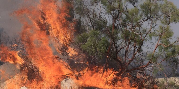 Record heat of 2023 partly due to ‘mysterious’ process, says NASA scientist