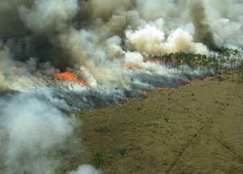 Research helps California forest managers assess smoke risks from prescribed burns