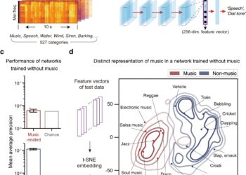 Research team breaks musical instincts using AI
