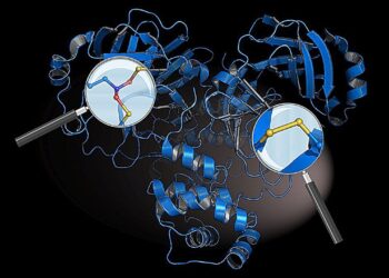 Research team identifies ‘protective switches’ in SARS-CoV-2 protein that defend against immune system