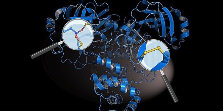 Research team identifies ‘protective switches’ in SARS-CoV-2 protein that defend against immune system