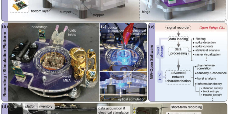 Researchers design new open source technology to interface with living neurons
