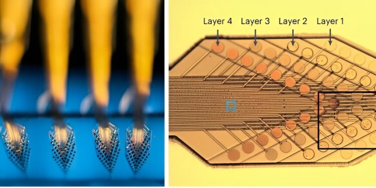 Researchers develop implantable device capable of recording a collection of individual neurons for months