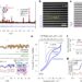 Researchers develop long-cycle, high-energy sodium-ion battery