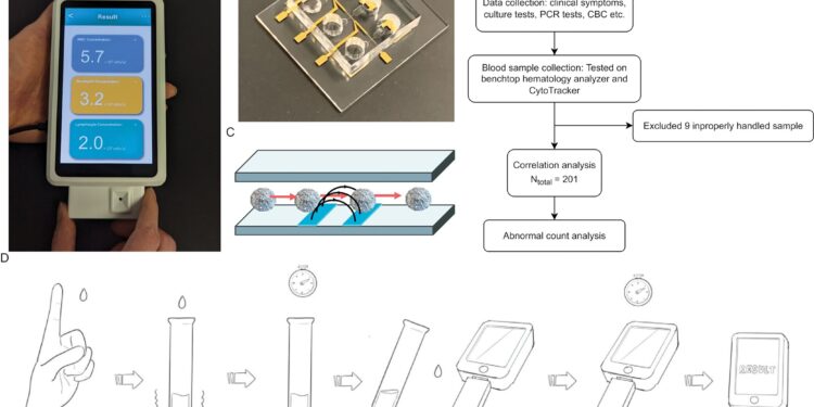 Researchers develop wearable white blood cell tracker