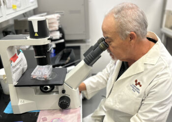 Researchers discover compound that fights leukemia and lymphoma