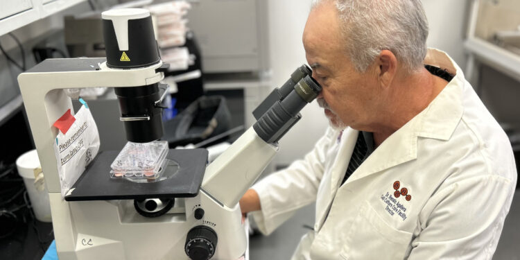 Researchers discover compound that fights leukemia and lymphoma