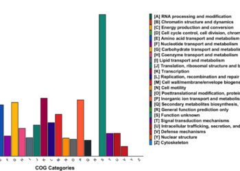 Researchers discover new species of bacteria resistant to antibiotics