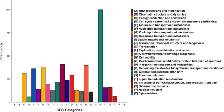 Researchers discover new species of bacteria resistant to antibiotics
