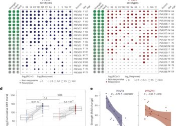 Researchers study why vaccines don’t work as well in some older people