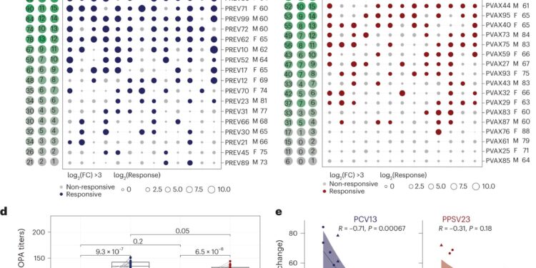 Researchers study why vaccines don’t work as well in some older people