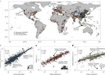 Scaling theory approach can offer a framework for reducing waste and pursuing a more sustainable future