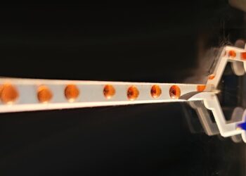 Scientists develop artificial muscle device that produces force 34 times its weight