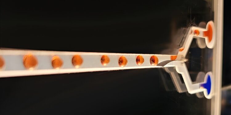 Scientists develop artificial muscle device that produces force 34 times its weight