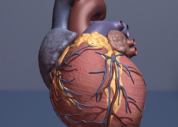 Scientists discover first therapeutic target to preserve heart function in patients with pulmonary hypertension
