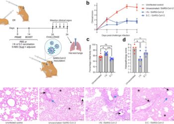 Scientists discover potential nasal COVID-19 vaccine candidate that provides better, longer protection
