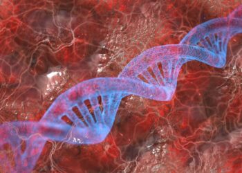 Scientists find that a variant of the synaptonemal complex protein SYCE2 increases the risk of miscarriage