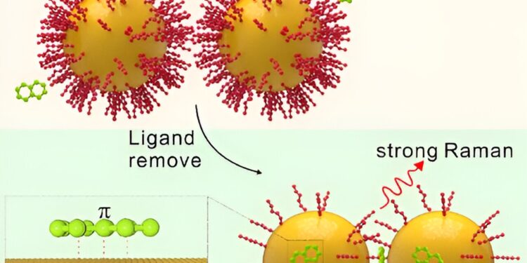 Scientists reveal the secrets of the interaction of aromatic molecules with gold