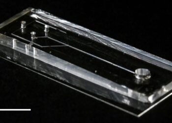 Scientists spin naturalistic silk from artificial spider gland