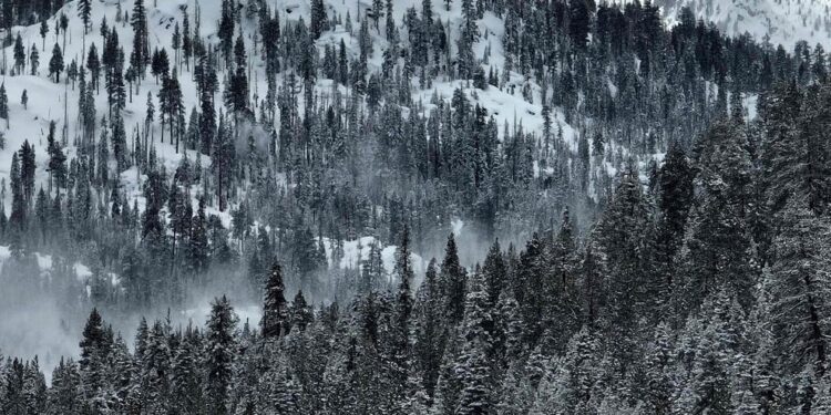Search underway after avalanche in California