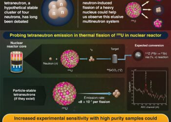Searching for elusive tetraneutrons using thermal fission