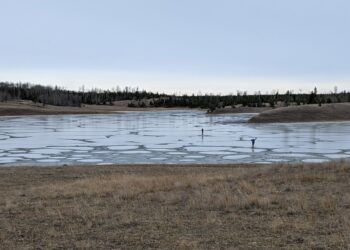 Shallow soda lakes show promise as cradles of life on Earth