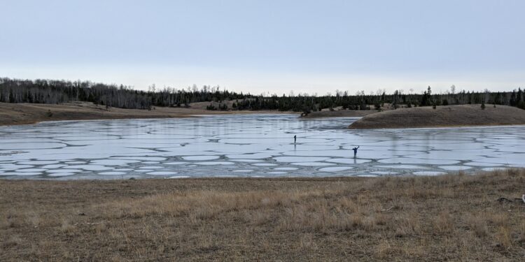 Shallow soda lakes show promise as cradles of life on Earth