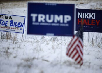 Singular voters in New Hampshire