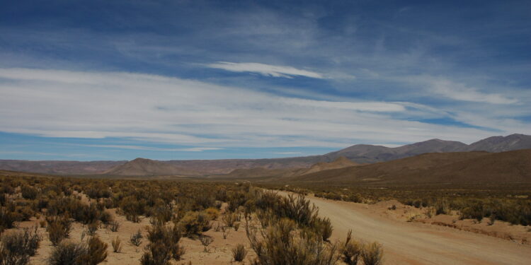 Spacing characteristics between vegetation could be a harbinger of degradation of dryland ecosystems: study