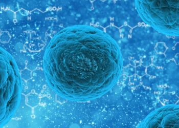 Stem cell study shows how gene activity modulates amount of immune cell production in mice