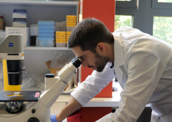 Study finds complement system causes cell damage during long COVID