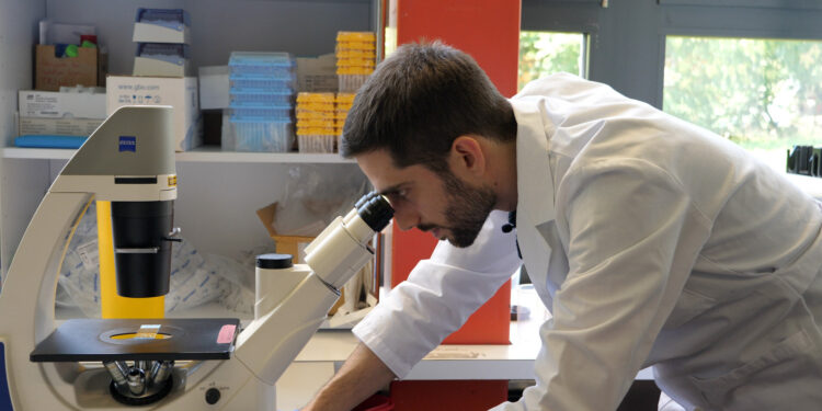 Study finds complement system causes cell damage during long COVID