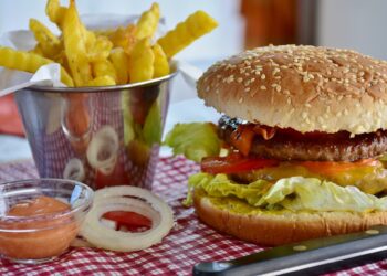 Study finds high-fat diets harm immune, gut and brain health