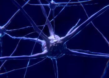 Study reveals function of little-understood synapse in the brain