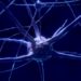 Study reveals function of little-understood synapse in the brain