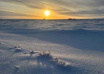 Study reveals new clues about Arctic warming