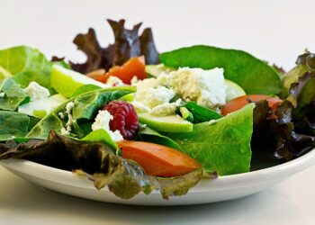 Switching to a plant-based diet means cleaner air and could save more than 200,000 lives worldwide, study finds