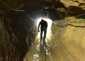 The New York Times: New details about the Gaza tunnels surprised the occupation army