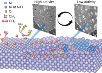 The advantages and disadvantages of oxygen in the performance of nickel catalysts in dry methane reforming