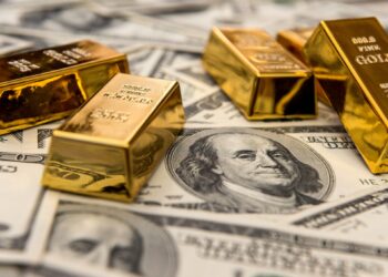 The dollar is at the highest level in a month, and gold stabilizes  Economy