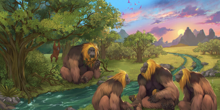 The extinction of the giant ape: a long-standing mystery solved