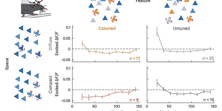 The logic underlying recurrent activity in primary visual cortex