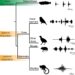 The midbrain of the California singing fish could serve as a model for how mammals control vocal expressions