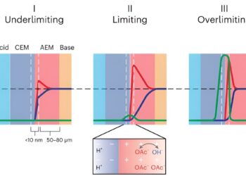 The model describes how ionic blockades influence energy harvesting in forward-biased bipolar membranes